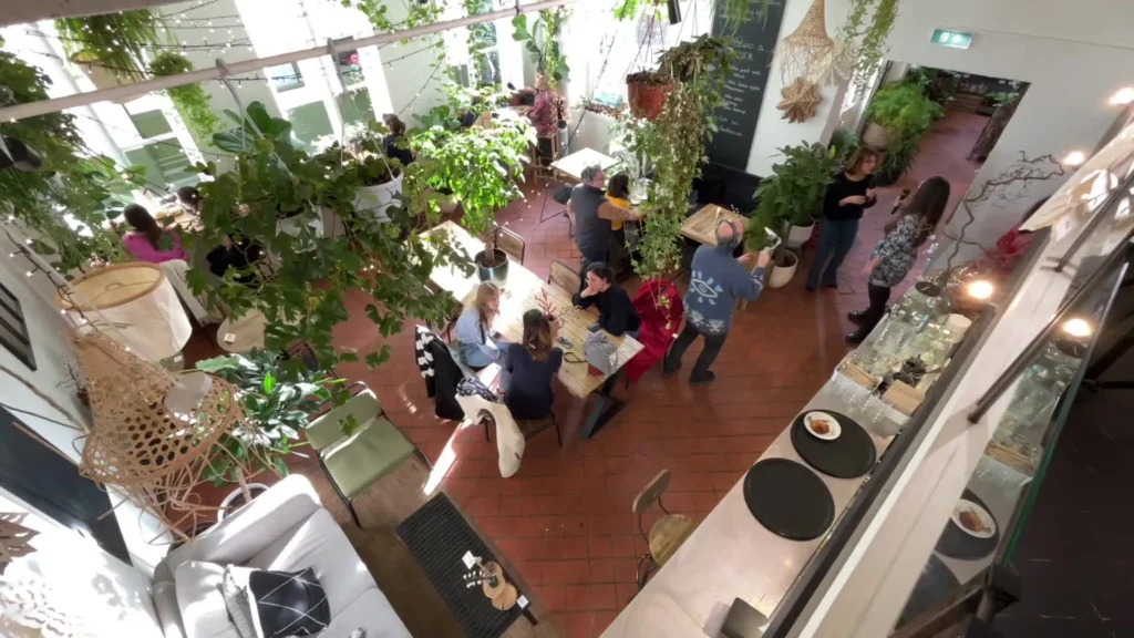 café avec des plantes
